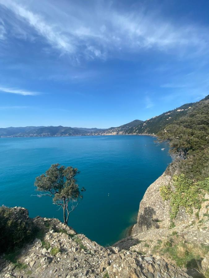 Ferienwohnung Alloggio Con Parcheggio E Vista - A Due Passi Dal Paradiso Camogli Exterior foto